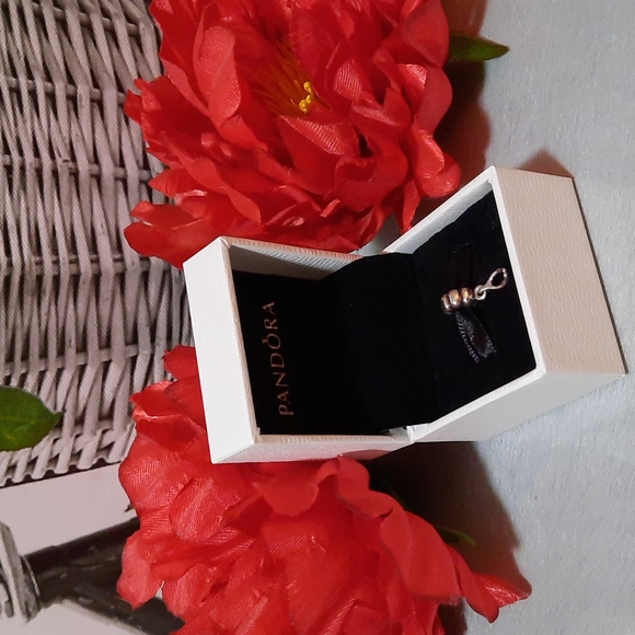 Wishbone Pandrora Charm - Picture 2 of 7